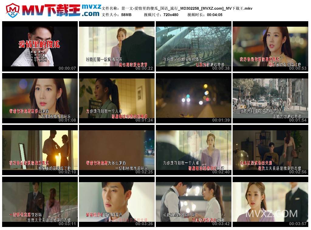 景一文-爱情里的傻瓜_国语_流行_MD302258